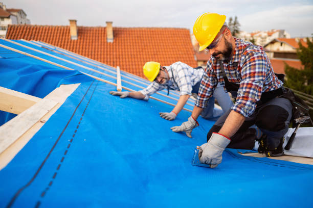 Best Roof Moss and Algae Removal  in Volcano Golf Course, HI